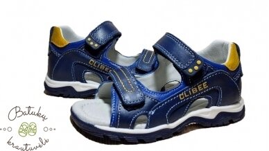 Clibee basutės (26-31) Blue/Yellow 2